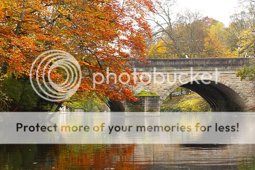 http://i27.photobucket.com/albums/c186/DavidKnapper/Autumn%20Tints/autumnreflections_zpsa9ef6585.jpg