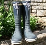 Blueboots