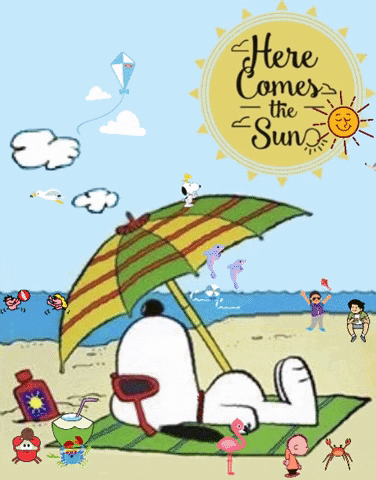 Snoopy Here Comes the Sun via GIPHY Beach in the summer dancing play  fun kites sea creatures  Snoopy cartoon Snoopy pictures Snoopy images