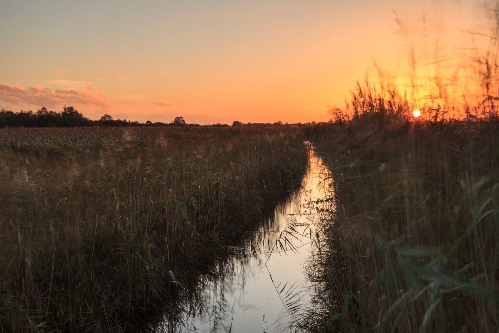 Image result for beautiful Autumn evenings
