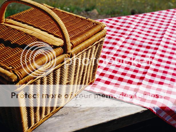 http://i1143.photobucket.com/albums/n627/thedogcody/TSAA014277_red-white-picnic-tablecl_zpsae378383.jpg