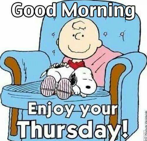 Pin on SNOOPY and PEANUTS