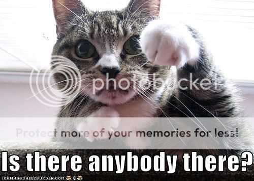 http://i1143.photobucket.com/albums/n627/thedogcody/2685390959_07d828433b_zps2ff73feb.jpg