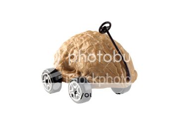 http://i1143.photobucket.com/albums/n627/thedogcody/istockphoto_5076052-driving-me-nuts_zps77b81ba4.jpg