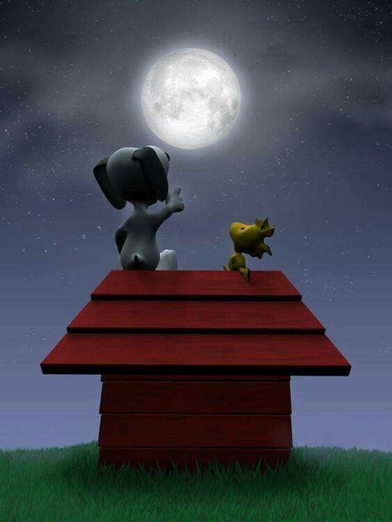 Snoopy  Snoopy wallpaper Snoopy pictures Snoopy images