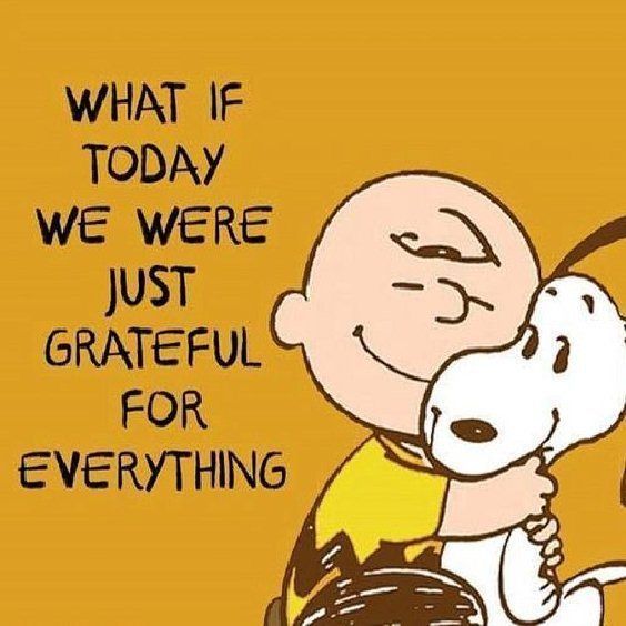 Snoopy CharlieBrown Peanuts Quotes Grateful  What if today we were  just grateful for every  Funny inspirational quotes Gratitude quotes  Grateful quotes