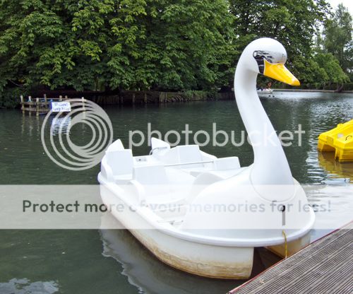 http://i1143.photobucket.com/albums/n627/thedogcody/SwanPedaloWP.jpg