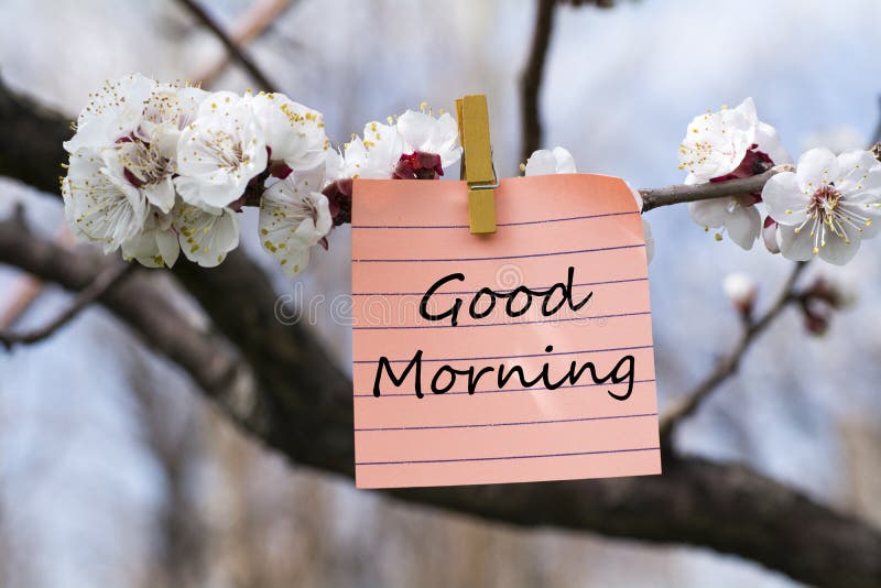 96462 Good Morning Photos - Free  Royalty-Free Stock Photos from  Dreamstime