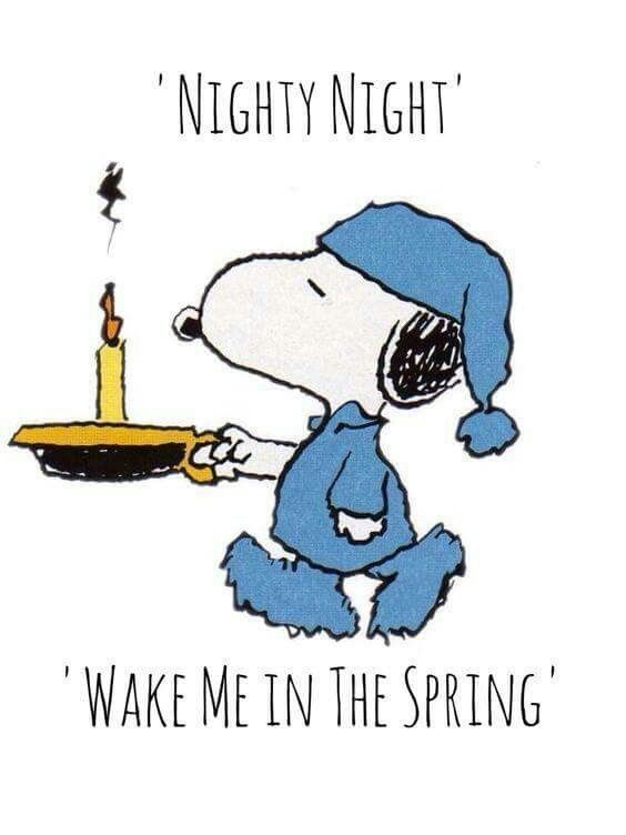 Pin by Susan Stewart  on snoopy christmas  winter   Snoopy love  Snoopy pictures Snoopy