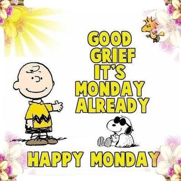10 Monday Snoopy Quotes For The New Week  Happy monday quotes Snoopy  quotes Happy monday