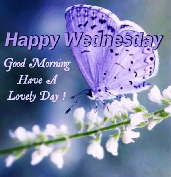 Image result for Wednesday morning quotes