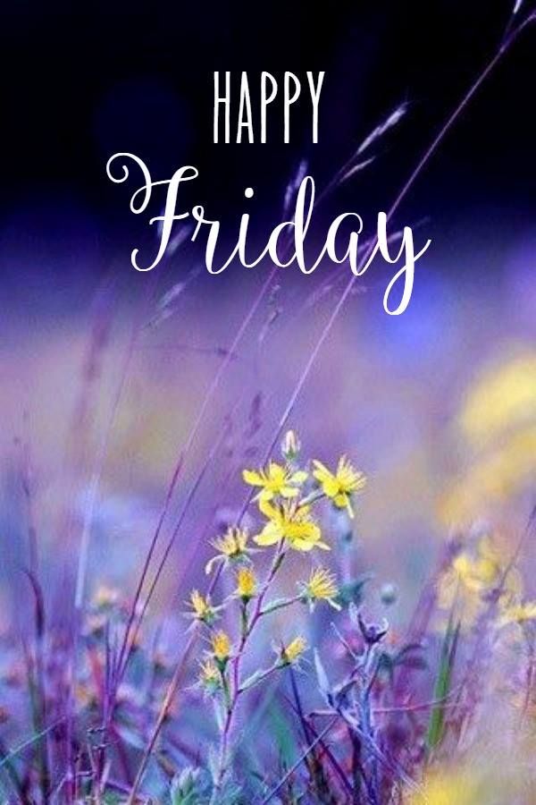 Friday image 5510 - Happy Friday - Happy Friday Wildflowers