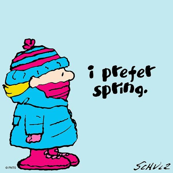 Twitter  Snoopy quotes Charlie brown and snoopy Snoopy