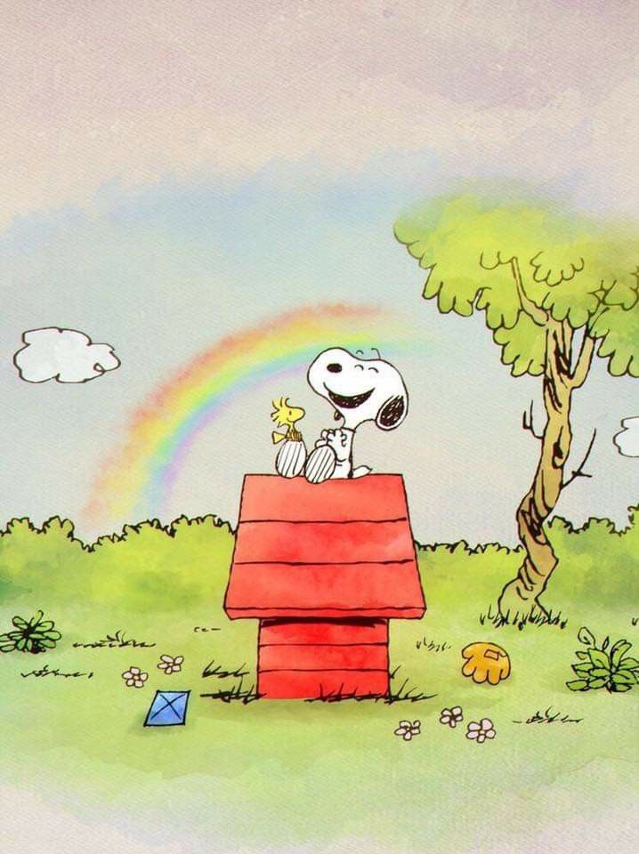 Always look for the rainbow Happy Thursday  Snoopy and woodstock Snoopy  quotes Snoopy  Snoopy pictures Snoopy funny Snoopy drawing