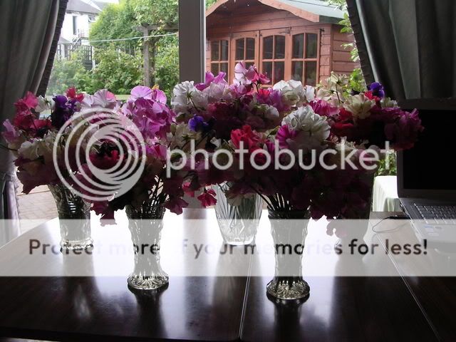 http://i27.photobucket.com/albums/c186/DavidKnapper/DSCN0694.jpg