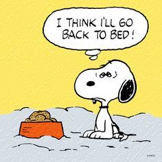 Snoopy  Back to Bed  Snoopy love Snoopy pictures Charlie brown and  snoopy