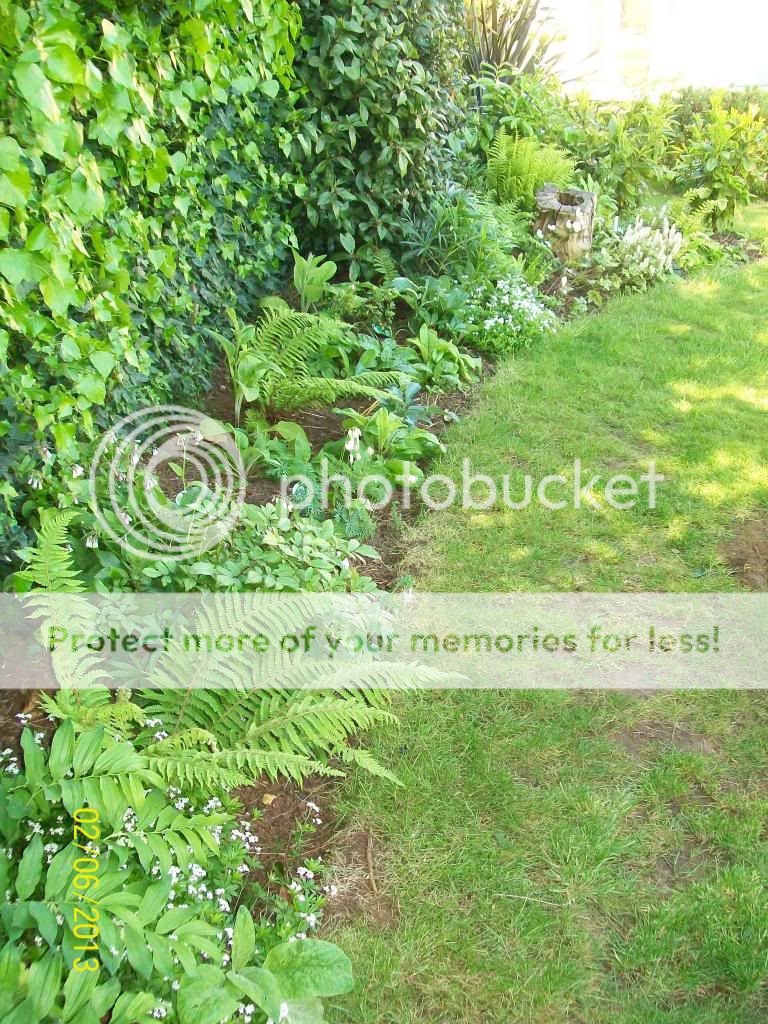 http://i1015.photobucket.com/albums/af278/bubbling_bubble_bee/100_8166_zps5b68194a.jpg