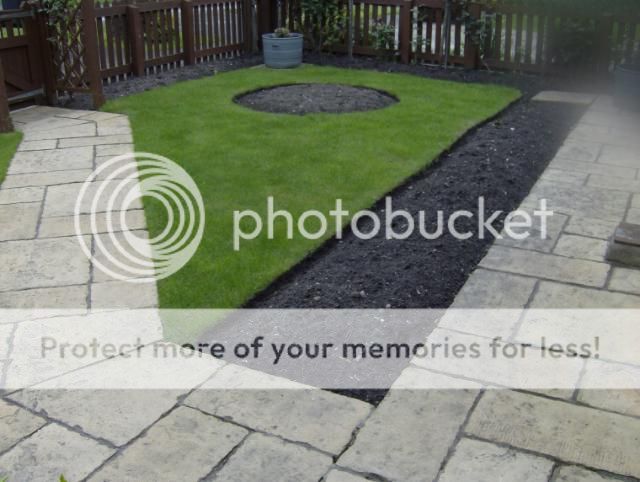 http://i1131.photobucket.com/albums/m551/lilylouise1/gardenviews020.jpg