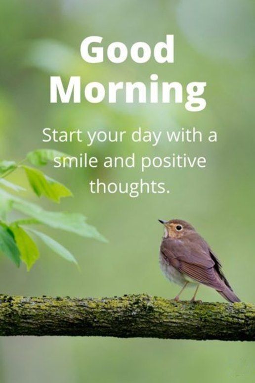 Good Morning Quotes Good Morning Start Your Day Smile And Positive Thoughts   Positive good morning quotes Good morning inspirational quotes Good  morning quotes