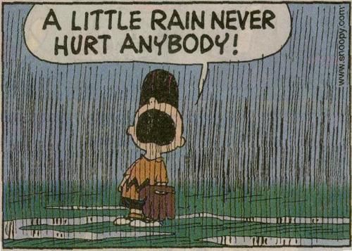 Charlie Brown in rain  Umorismo pioggia Foto pioggia Bagnato