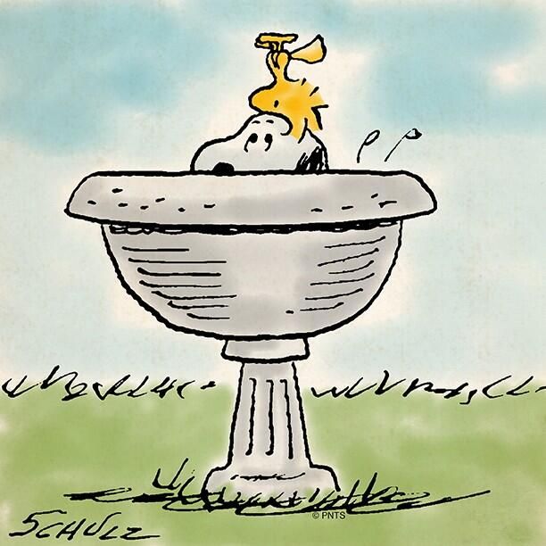 PEANUTS on Twitter  Snoopy and woodstock Snoopy Snoopy pictures