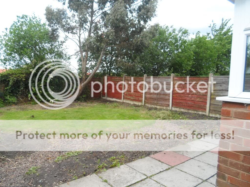 http://i1316.photobucket.com/albums/t612/toast_movg/9_zps0aa87001.jpg
