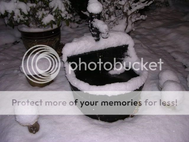 http://i27.photobucket.com/albums/c186/DavidKnapper/DSCN0786.jpg