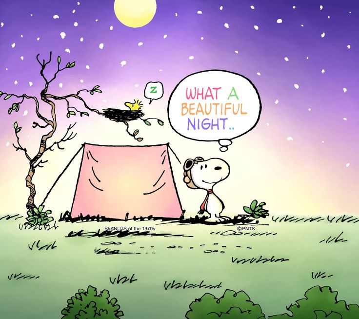 Amazing  Amen   Snoopy quotes Snoopy pictures Snoopy images