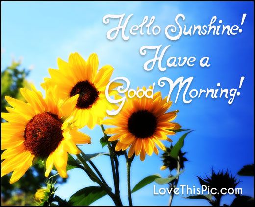Hello Sunshine morning good morning morning quotes good morning qu