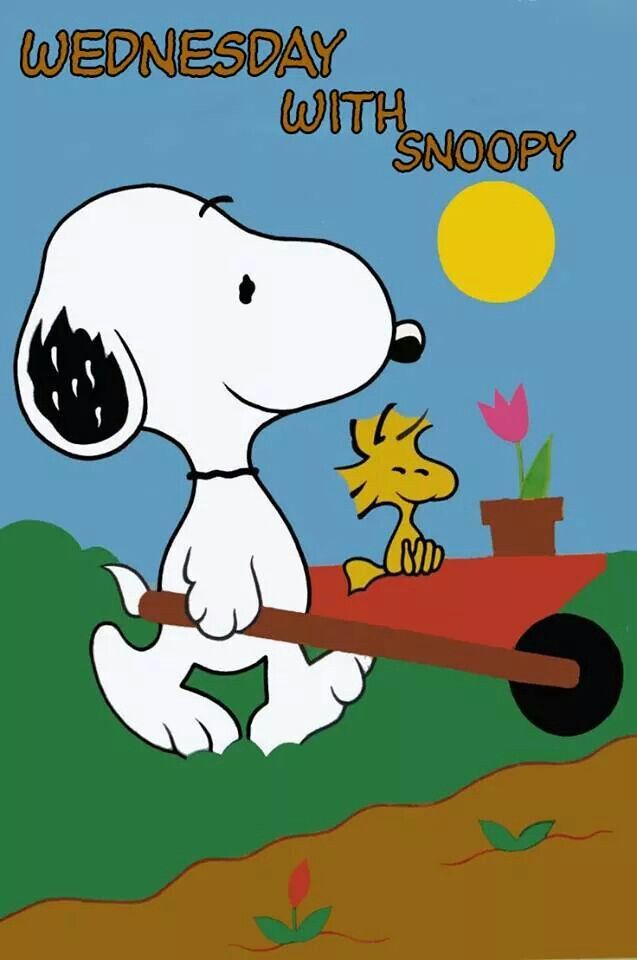 Pin by Liz Beans on SNOOPY One of my favorite things  Snoopy Snoopy  love Snoopy quotes