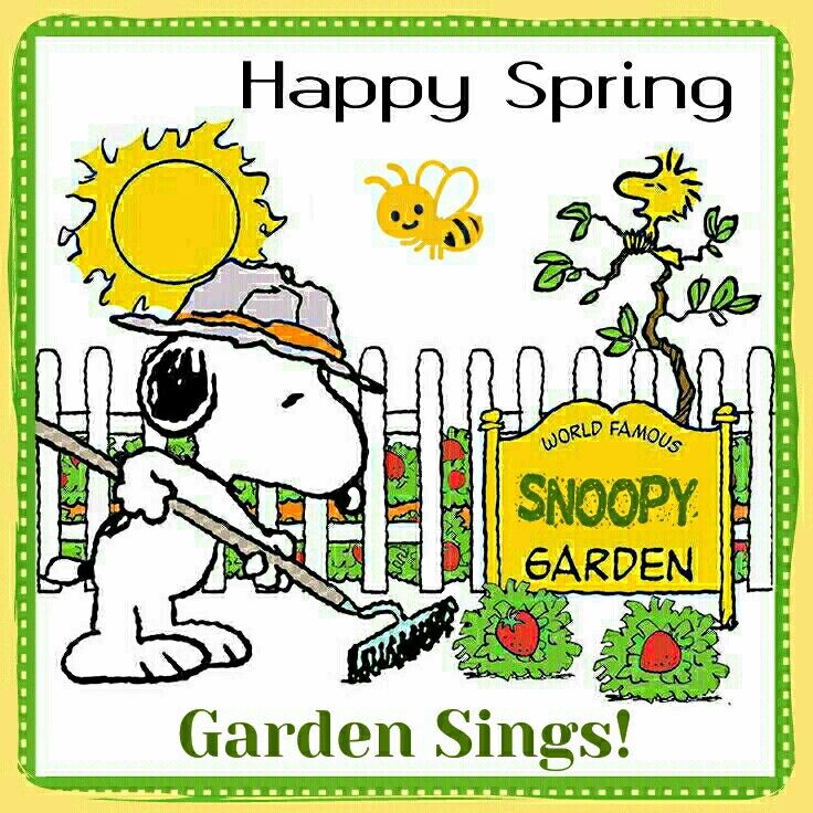 Sunshine  and Birds  Singing  Great After a Miserable Winter   Snoopy Snoopy wallpaper Snoopy funny