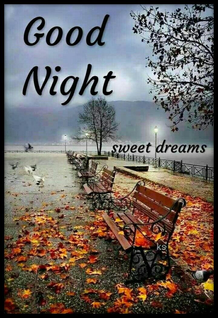 Pin by Priya on good night  Autumn scenes Iphone wallpaper photography  Beautiful world