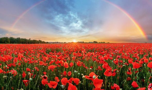 Remembrance Day 2019 Remembrance Day 2019