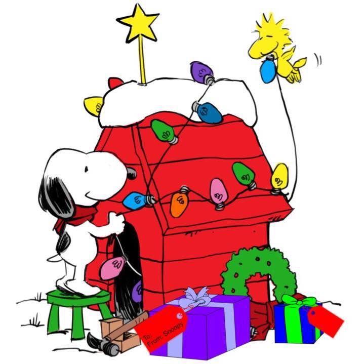 Pin by Heidi Lacy on quotpeanutsquot  Snoopy christmas Snoopy Charlie brown  and snoopy