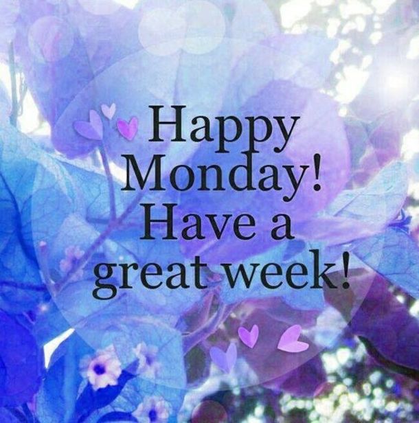 50 Of The Best Monday Quotes And Images To Love And Share  Happy monday  quotes Monday morning quotes Monday quotes