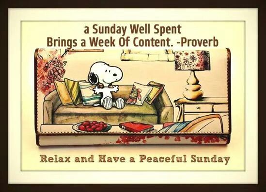 Peaceful Sunday  Charlie brown and snoopy Snoop dog Peanuts cartoon