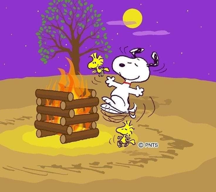 Pin on Charlie brown and snoopy