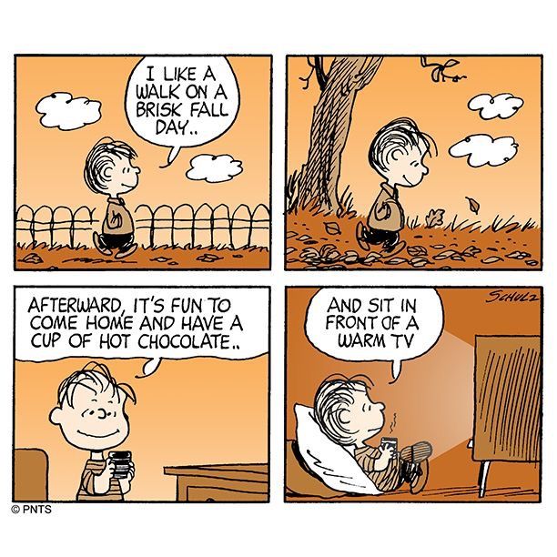 Autumn mood  Charlie brown and snoopy Snoopy Snoopy comics