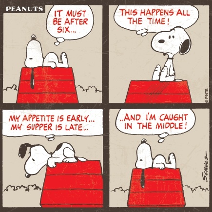 Pin de Mulberry Sang em Charles M Schulz - Philosophy  Deposito de  tirinhas Snoopy Tirinhas