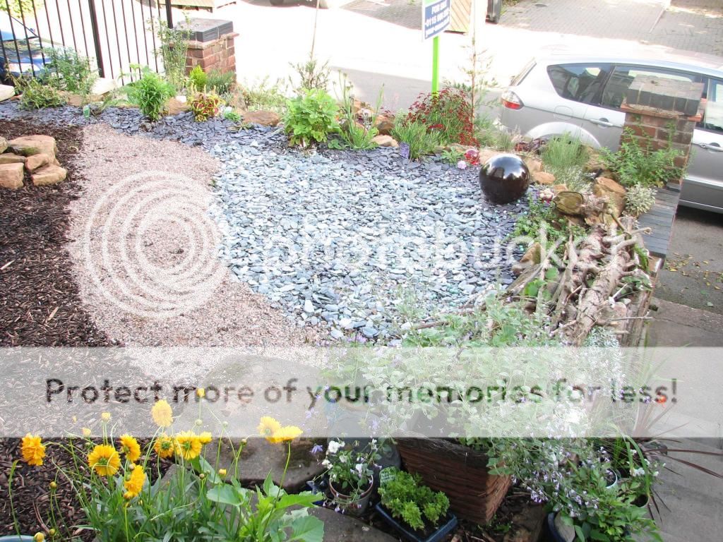 http://i1076.photobucket.com/albums/w443/El_Chaffinch/012copy.jpg
