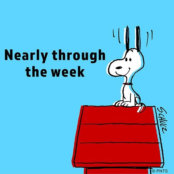 That feeling when you realize its almost the weekend  Peanut pictures Charlie  brown and snoopy Snoopy and woodstock