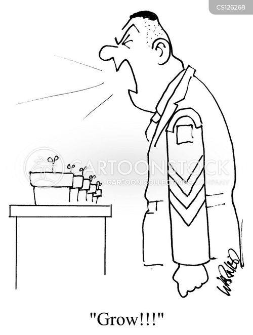 Image result for Cartoon sergeant major images