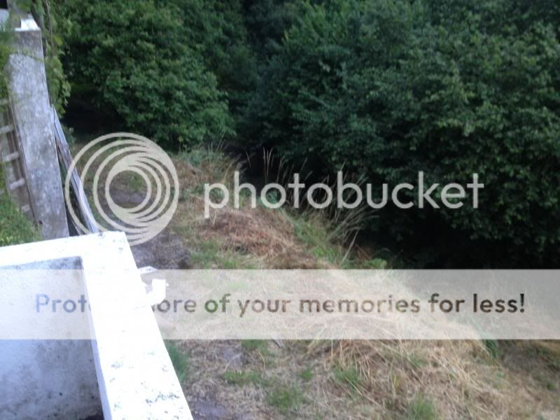 http://i278.photobucket.com/albums/kk105/dantro-photo/2013-08-05200856_zps86e639e2.jpg