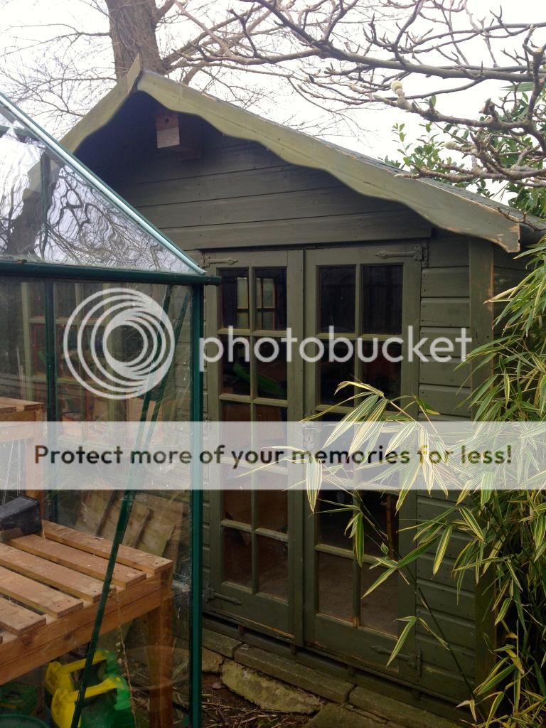http://i232.photobucket.com/albums/ee192/thebear843/Garden/IMG_6802_zpsrnhz6n0a.jpg