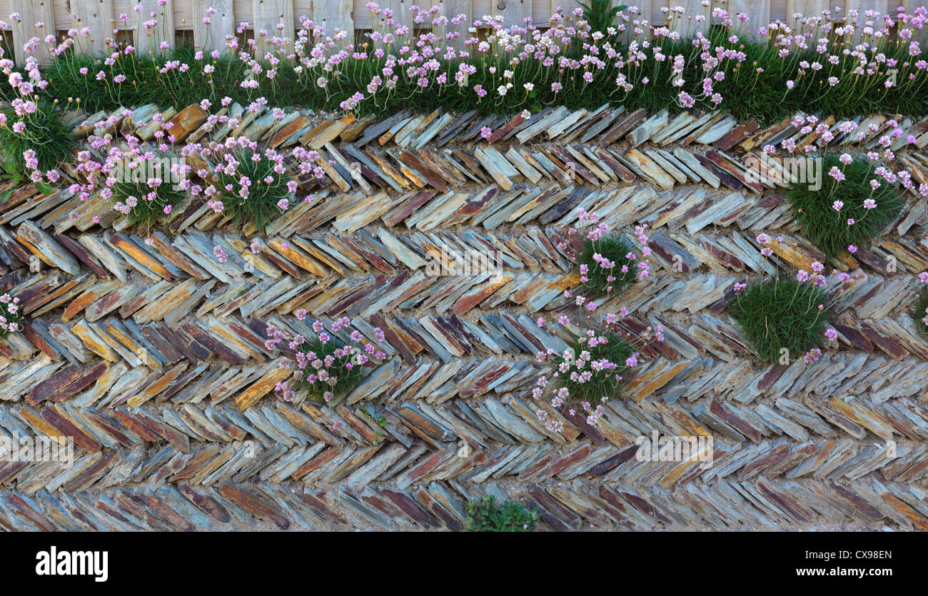 Related image