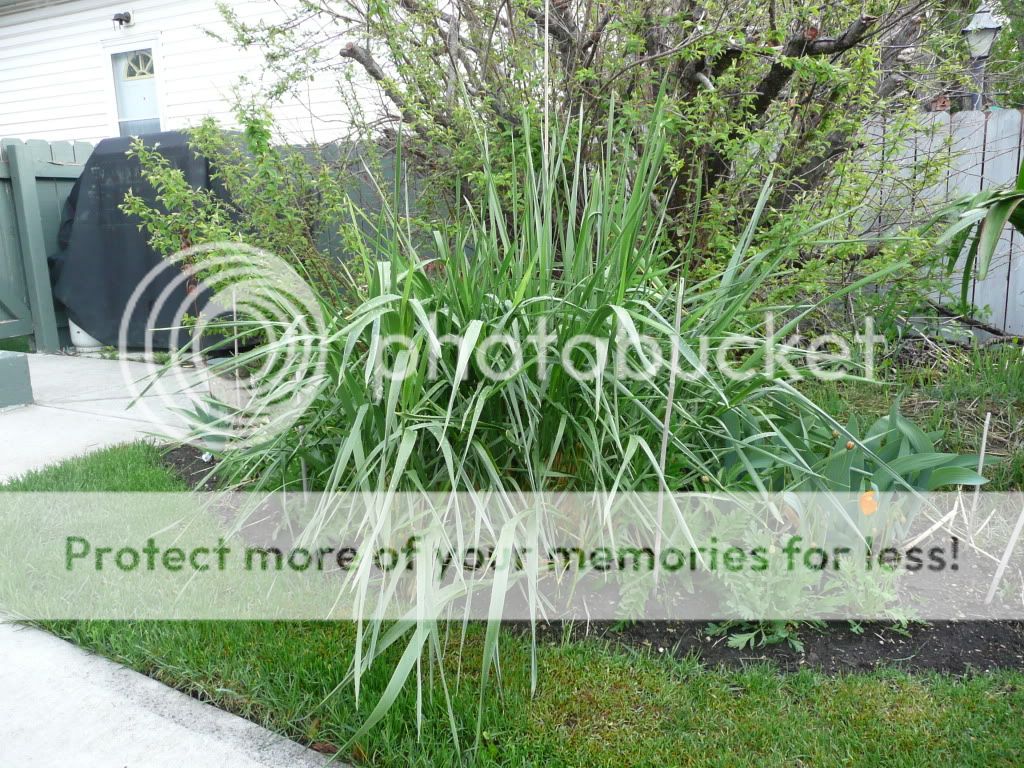 http://i899.photobucket.com/albums/ac192/JohnCm_bucket/001-5.jpg