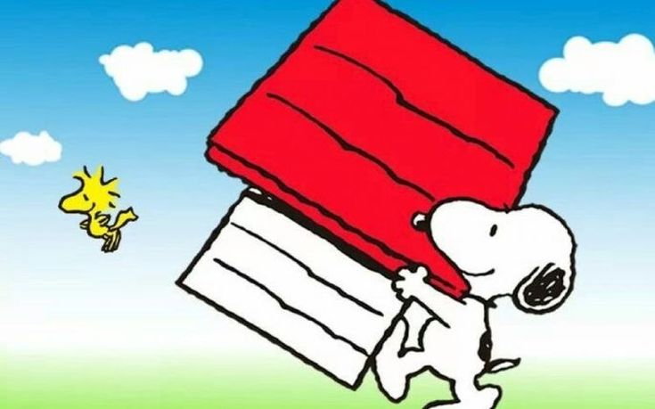 Happiness doesnt have just one address in 2023  Snoopy pictures Snoopy  Snoopy and woodstock