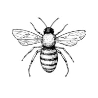 MrsBeeKeeper