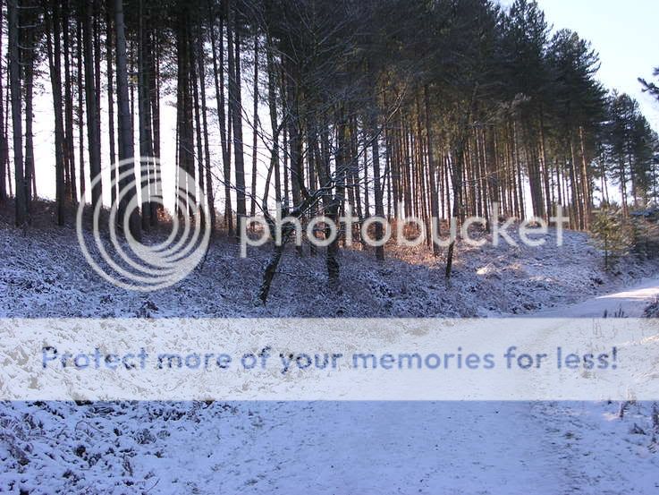 http://i27.photobucket.com/albums/c186/DavidKnapper/Winter%20Wonderland/DSCN0177.jpg