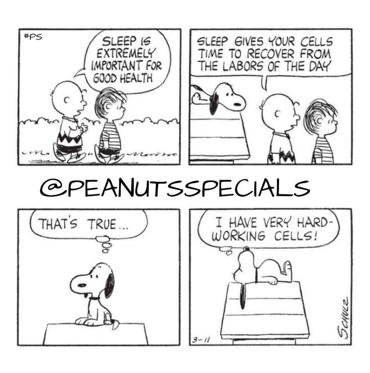 First Appearance March 11 1963 snoopy charliebrown linusvanpelt sleep  extremely important goodhealth cells time rec  Goodhealth Sleep  Linus van pelt